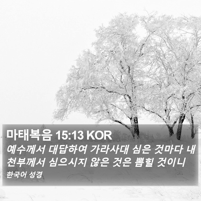 마태복음 15:13 KOR Bible Study