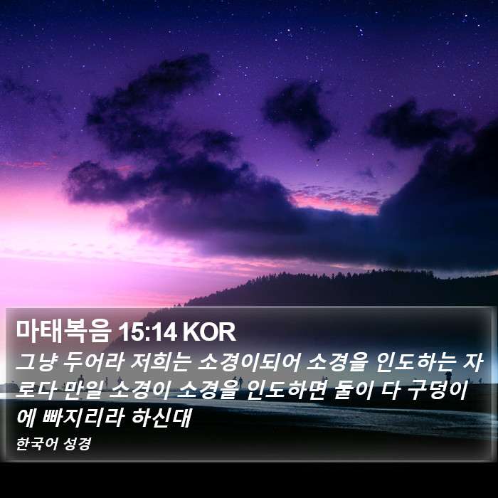 마태복음 15:14 KOR Bible Study