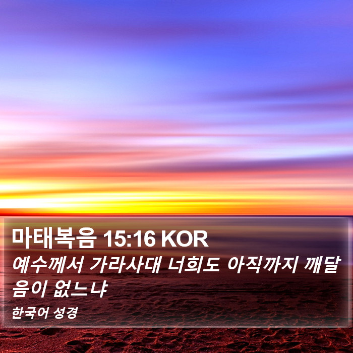 마태복음 15:16 KOR Bible Study