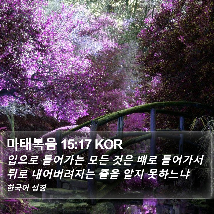 마태복음 15:17 KOR Bible Study