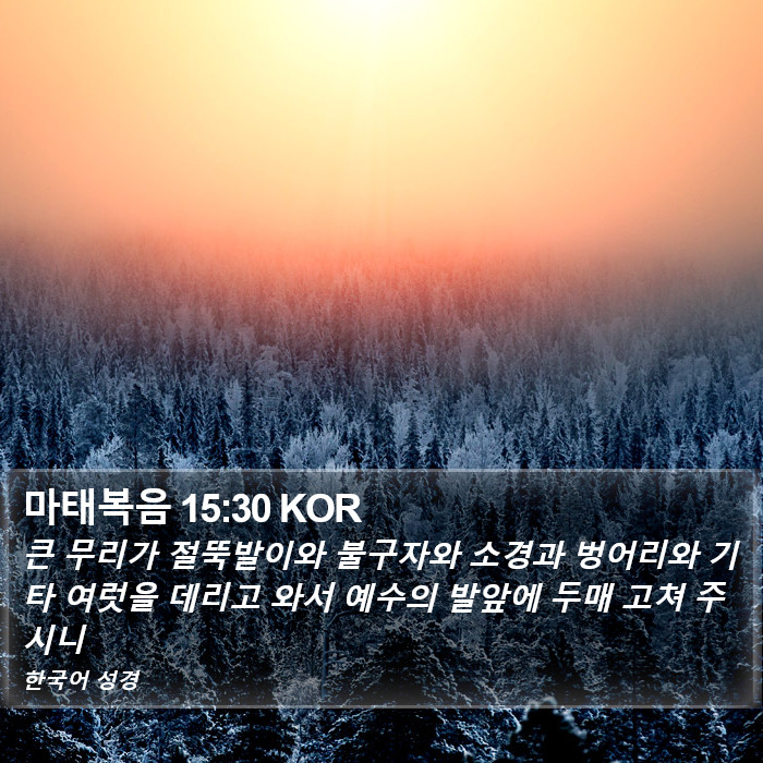 마태복음 15:30 KOR Bible Study