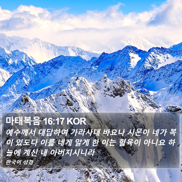 마태복음 16:17 KOR Bible Study