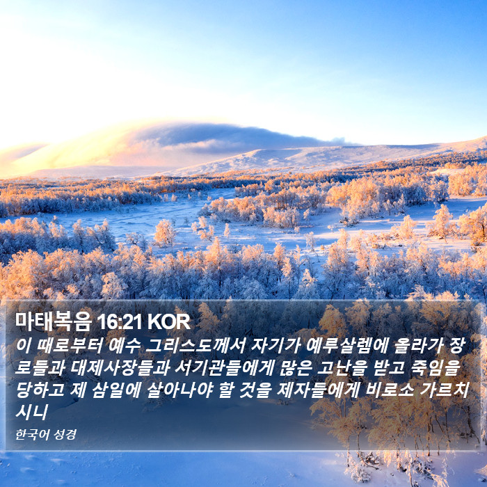 마태복음 16:21 KOR Bible Study