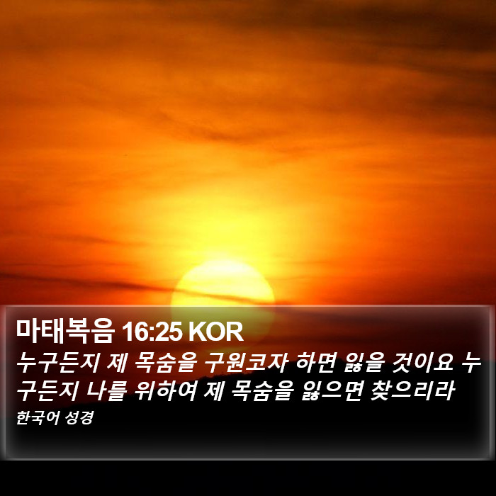 마태복음 16:25 KOR Bible Study