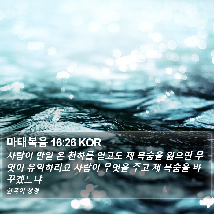 마태복음 16:26 KOR Bible Study