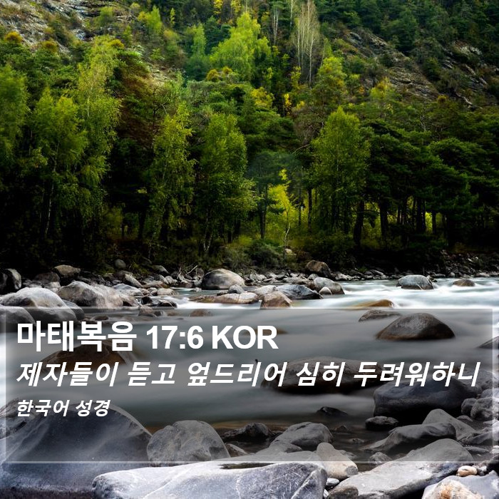 마태복음 17:6 KOR Bible Study