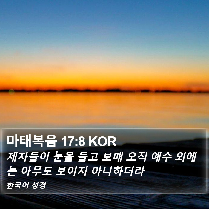 마태복음 17:8 KOR Bible Study