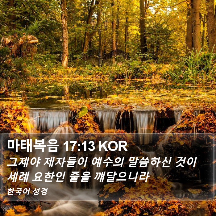 마태복음 17:13 KOR Bible Study