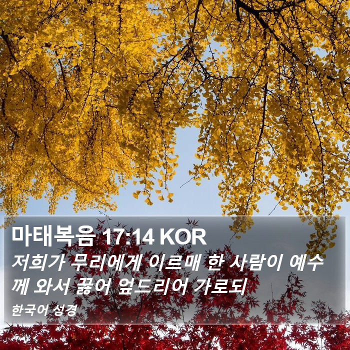 마태복음 17:14 KOR Bible Study