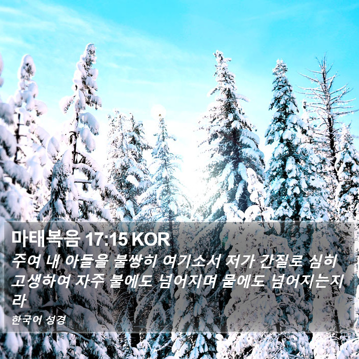 마태복음 17:15 KOR Bible Study