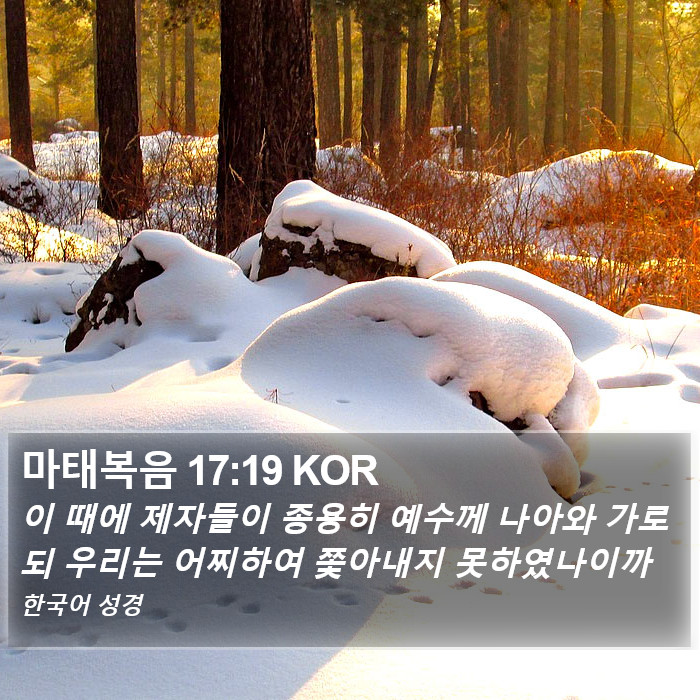 마태복음 17:19 KOR Bible Study