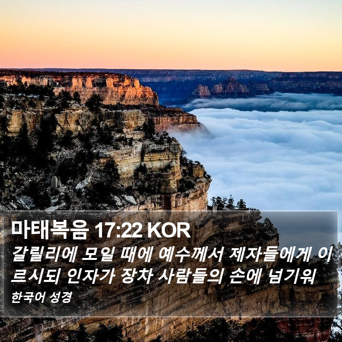 마태복음 17:22 KOR Bible Study