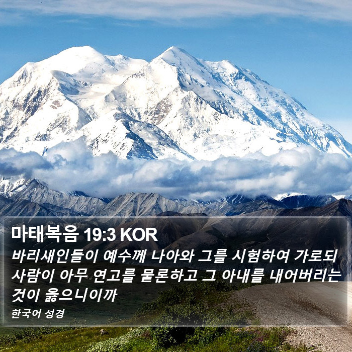 마태복음 19:3 KOR Bible Study