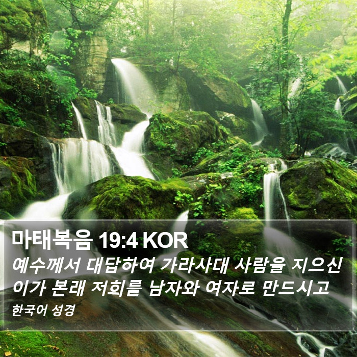 마태복음 19:4 KOR Bible Study