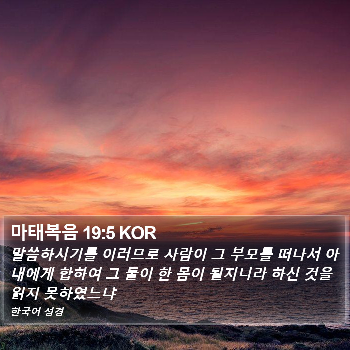 마태복음 19:5 KOR Bible Study