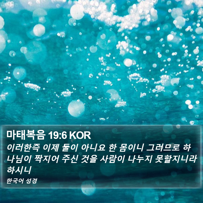 마태복음 19:6 KOR Bible Study