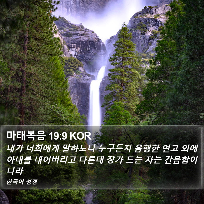 마태복음 19:9 KOR Bible Study