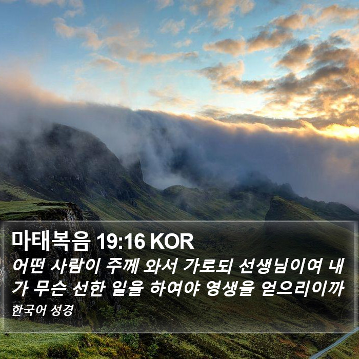 마태복음 19:16 KOR Bible Study