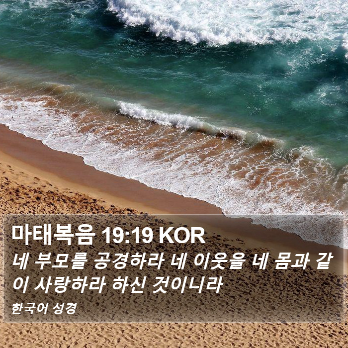 마태복음 19:19 KOR Bible Study