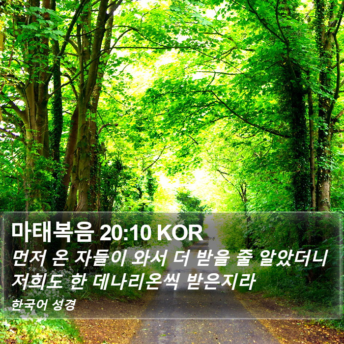 마태복음 20:10 KOR Bible Study