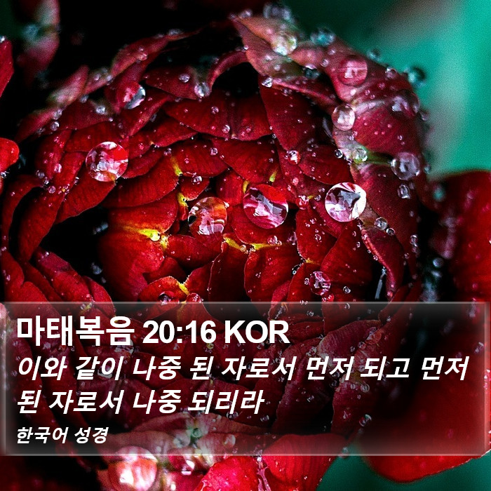 마태복음 20:16 KOR Bible Study