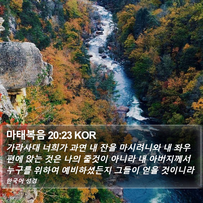 마태복음 20:23 KOR Bible Study