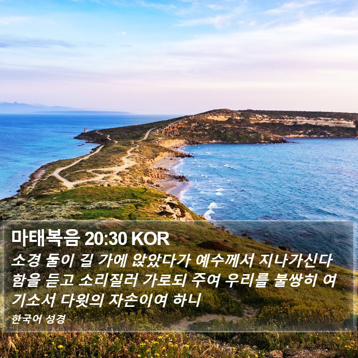 마태복음 20:30 KOR Bible Study