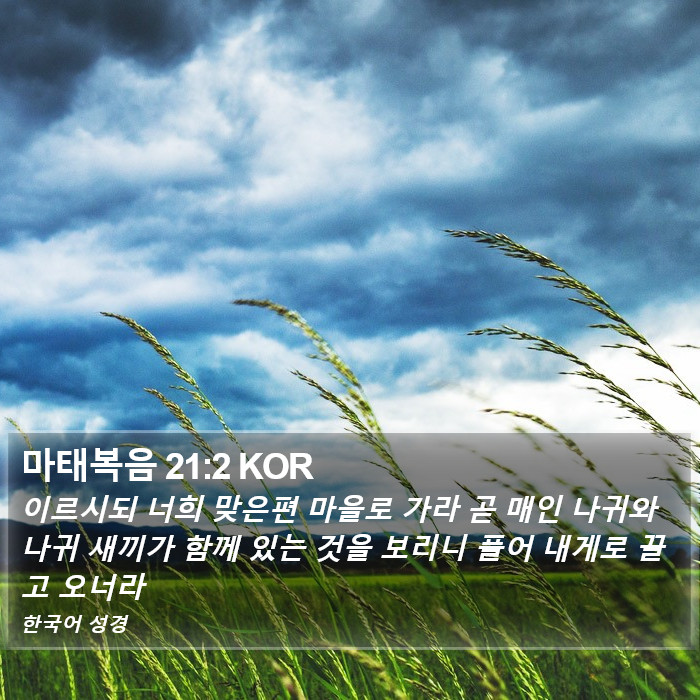 마태복음 21:2 KOR Bible Study