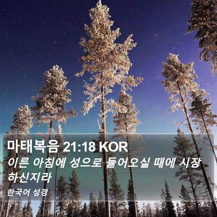 마태복음 21:18 KOR Bible Study