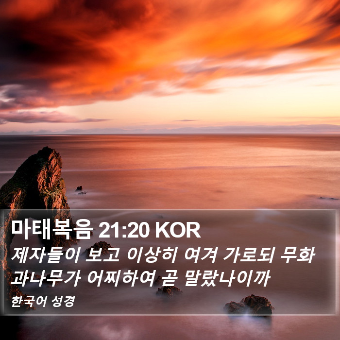 마태복음 21:20 KOR Bible Study