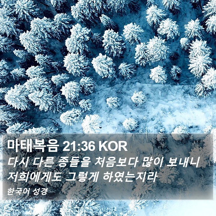 마태복음 21:36 KOR Bible Study