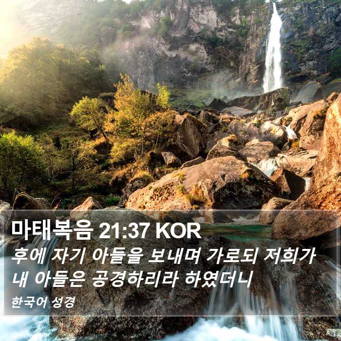 마태복음 21:37 KOR Bible Study