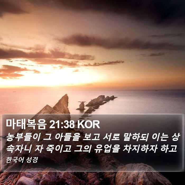 마태복음 21:38 KOR Bible Study