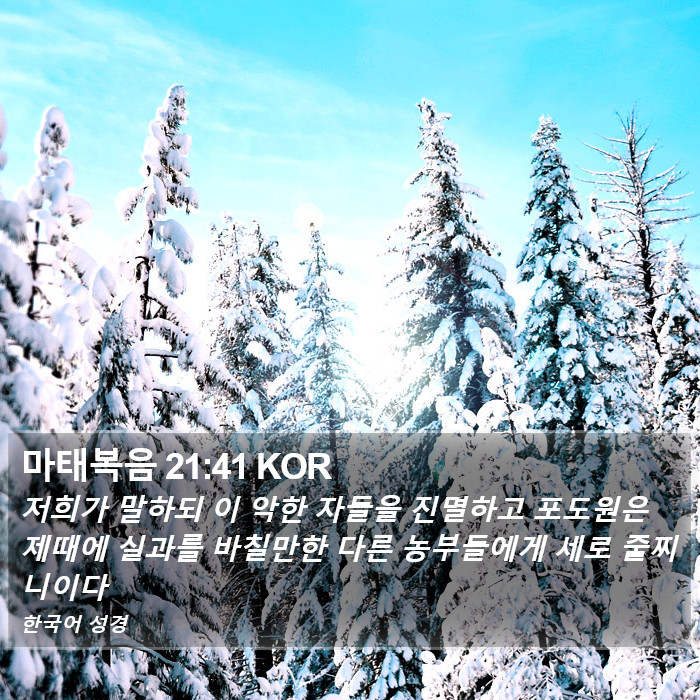 마태복음 21:41 KOR Bible Study