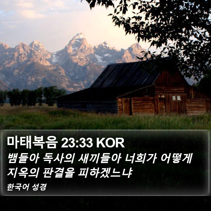 마태복음 23:33 KOR Bible Study