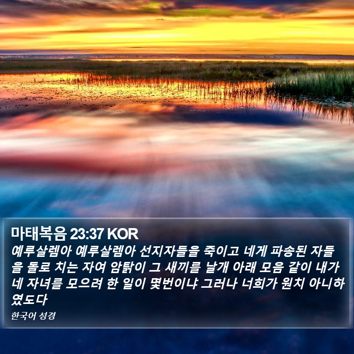 마태복음 23:37 KOR Bible Study