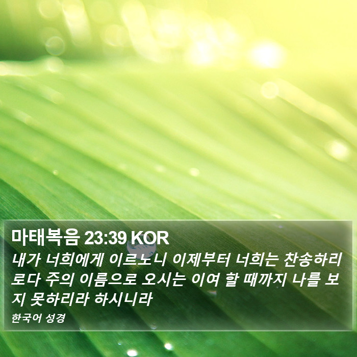 마태복음 23:39 KOR Bible Study