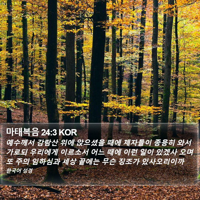 마태복음 24:3 KOR Bible Study