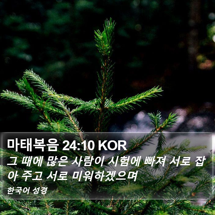 마태복음 24:10 KOR Bible Study