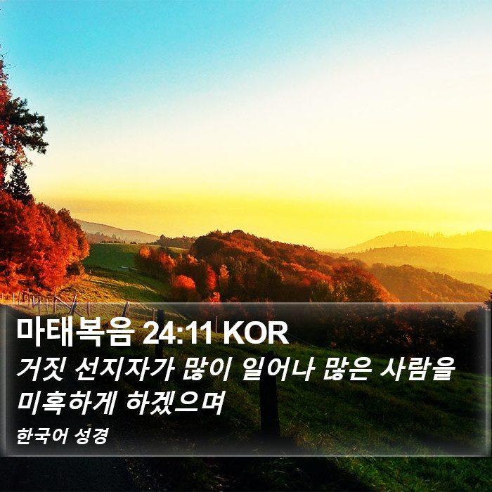 마태복음 24:11 KOR Bible Study