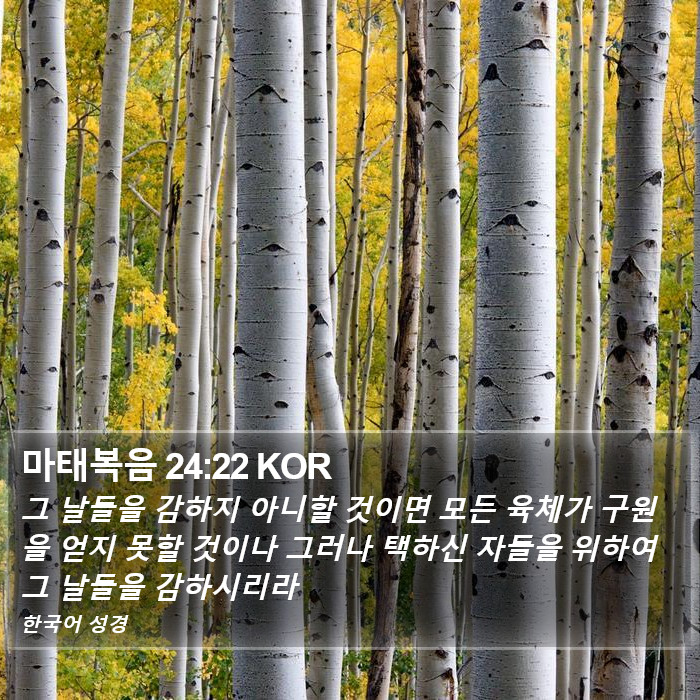 마태복음 24:22 KOR Bible Study