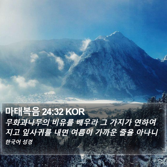 마태복음 24:32 KOR Bible Study