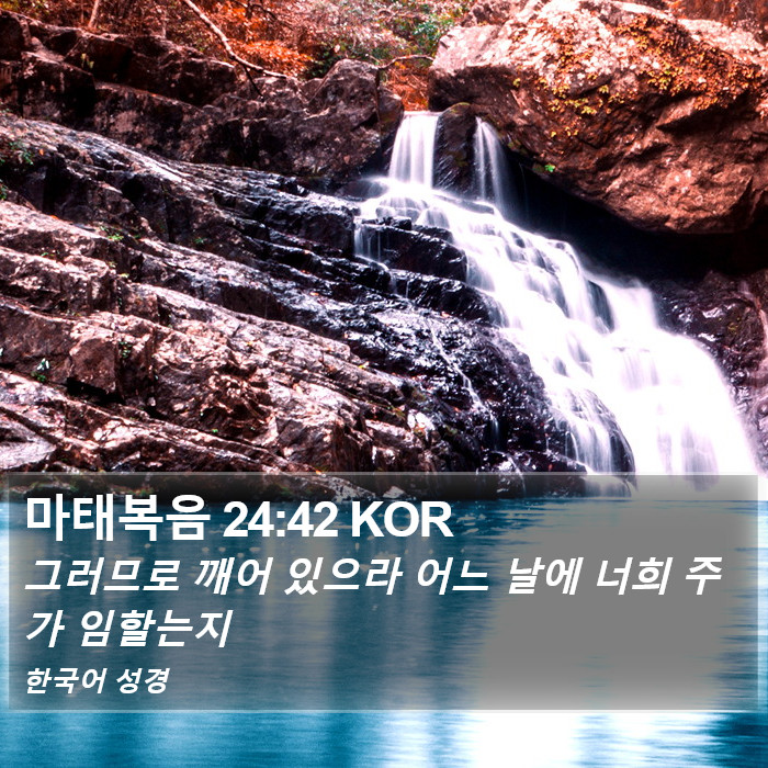 마태복음 24:42 KOR Bible Study