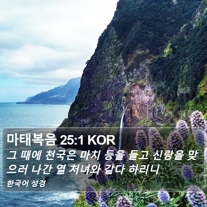 마태복음 25:1 KOR Bible Study