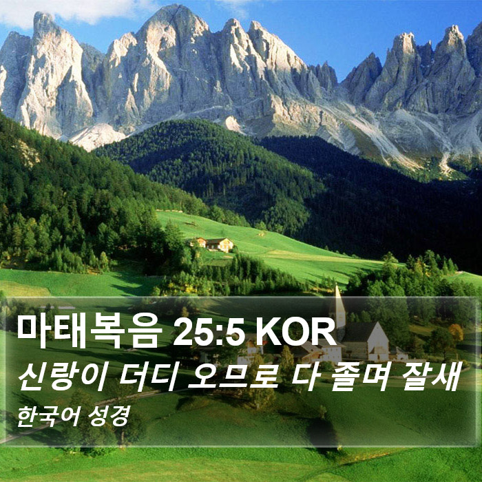 마태복음 25:5 KOR Bible Study
