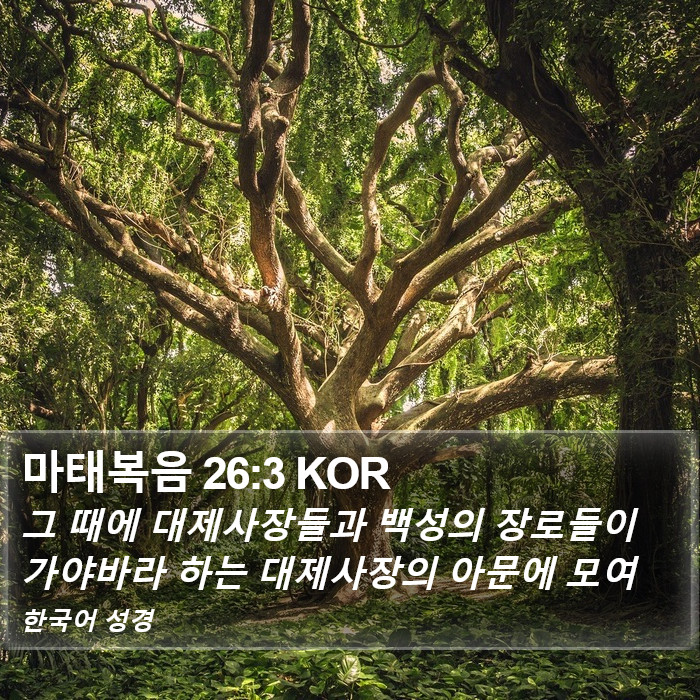 마태복음 26:3 KOR Bible Study
