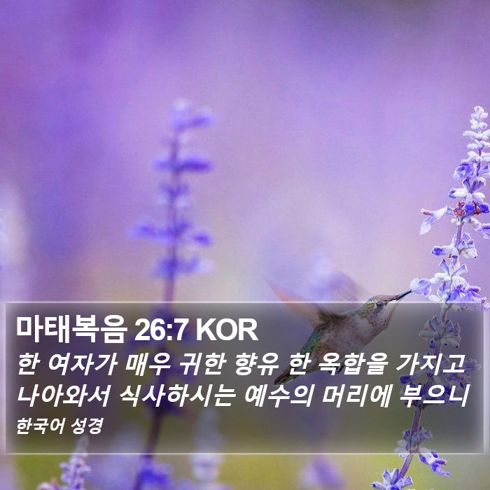 마태복음 26:7 KOR Bible Study