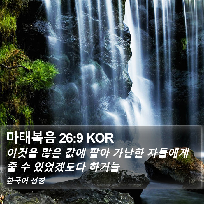 마태복음 26:9 KOR Bible Study