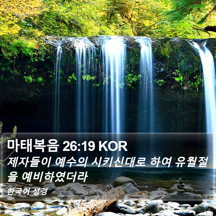 마태복음 26:19 KOR Bible Study
