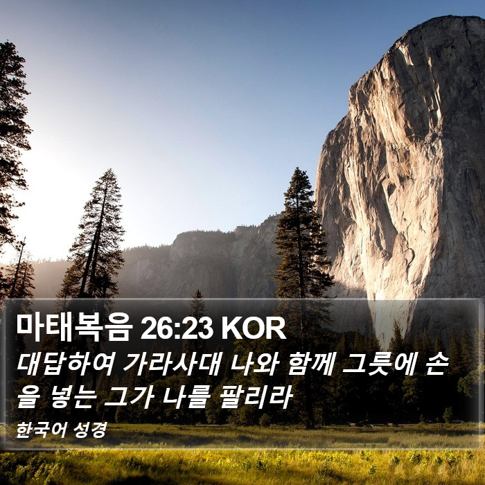마태복음 26:23 KOR Bible Study